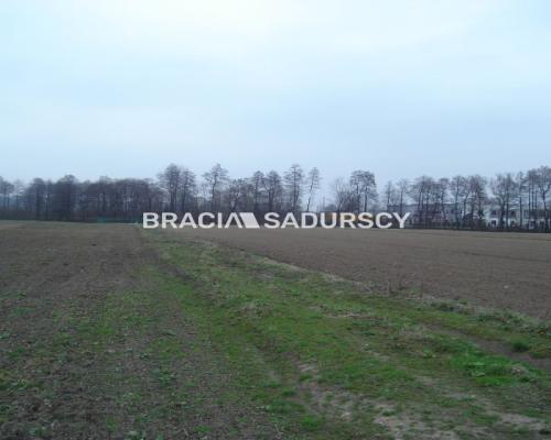 *Zdjęcia należą do właściciela oferty.   
 
Działka inwestycyjna 100 arowa leżąca na terenie przemysłowym w Morawicy. Media: ka