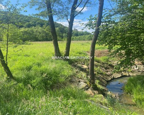 Nieruchomość pod lasem pod domy - rezydencje