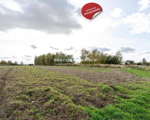 Działka budowlana / 25 ar / płaska / Cholerzyn