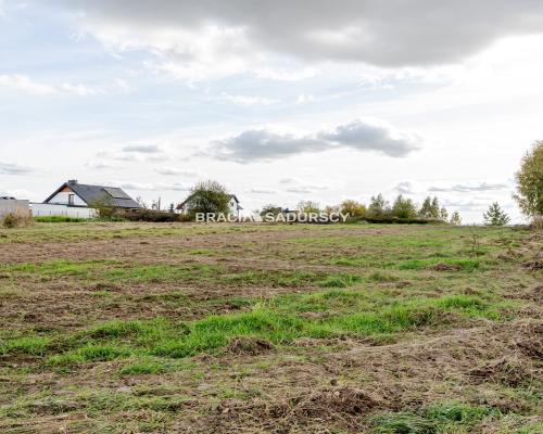 Działka budowlana / 25 ar / płaska / Cholerzyn