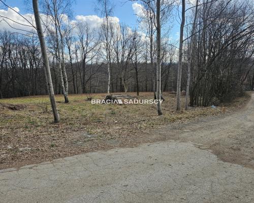 Działka Czechówka | 11 ar