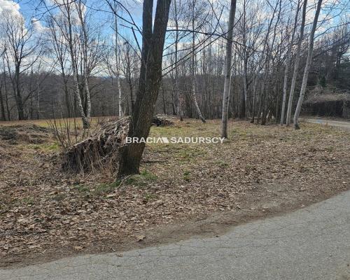 Działka Czechówka | 11 ar