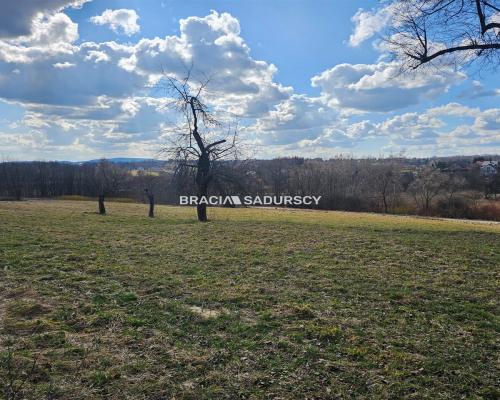 Działki na sprzedaż - Czechówka