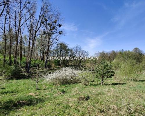 Wyjatkowa działka z własną linią brzegową jeziora.