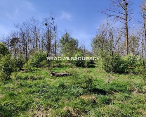 Wyjatkowa działka z własną linią brzegową jeziora.