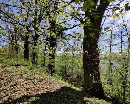 Wyjatkowa działka z własną linią brzegową jeziora.