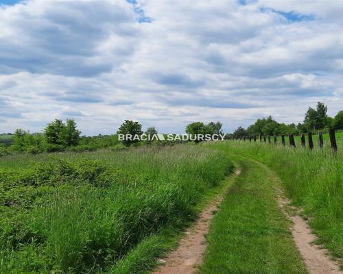 Działka budowlano - rolna w pobliżu Zamku Tenczyn