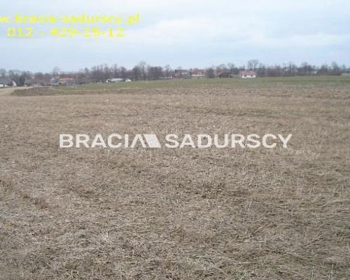 działka rolno-budowlana o powierzchni 89 arów