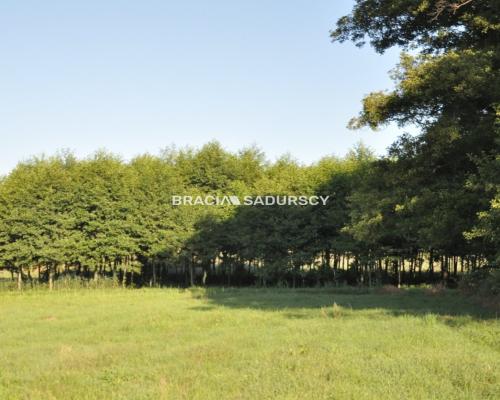 Działka budowlano - rolna u podnóża Zamku Tenczyn