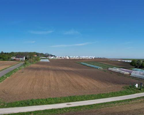 Działka zagrodowa w Szarbii gm. Koniusza