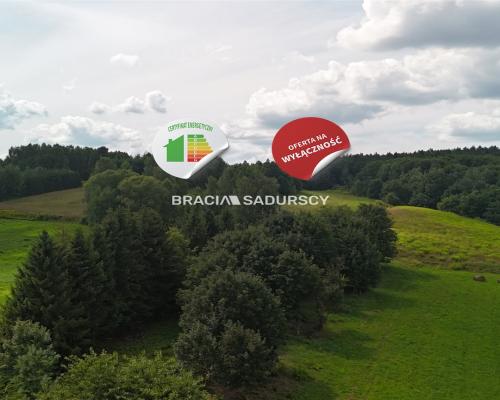 Działka budowlana o powierzchni 30 arów w Brodach