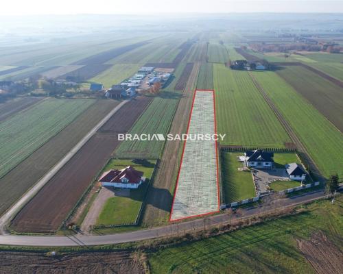 Działka budowlana 4200 m2, Celiny blisko Krakowa