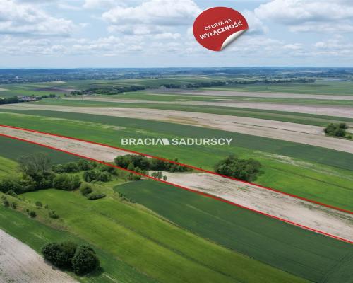 Działka rolna o pow. 3 ha - Prandocin-Iły    Oferujemy na sprzedaż działkę rolną o pow. 3 ha położoną w Prandocinie-Iły k/Sło