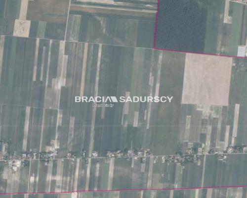 Działka rolna o pow. 3 ha - Prandocin-Iły    Oferujemy na sprzedaż działkę rolną o pow. 3 ha położoną w Prandocinie-Iły k/Sło