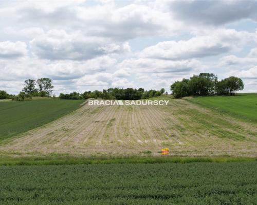 Działka rolna o pow. 3 ha - Prandocin-Iły    Oferujemy na sprzedaż działkę rolną o pow. 3 ha położoną w Prandocinie-Iły k/Sło