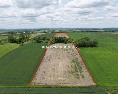 Działka rolna o pow. 3 ha - Prandocin-Iły    Oferujemy na sprzedaż działkę rolną o pow. 3 ha położoną w Prandocinie-Iły k/Sło