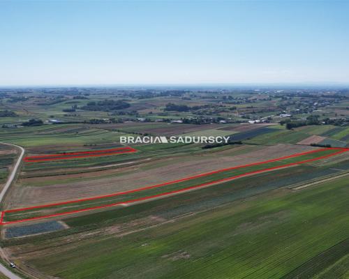 Działki rolne Proszowice
