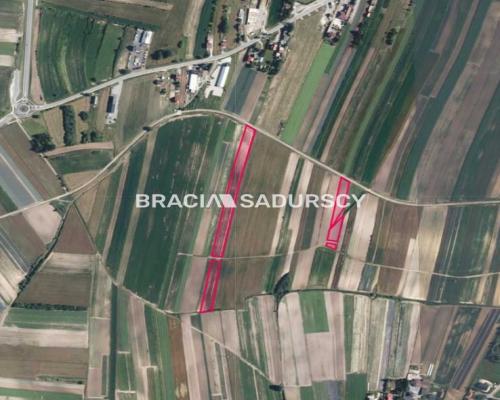 Działki rolne Proszowice