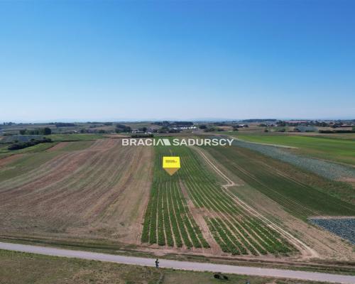 Działki rolne Proszowice