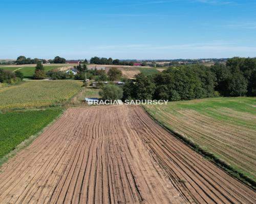 Gunów - Wilków działka o pow. 0,77 ha!  Działka o powierzchni 0,77 ha   położona w miejscowości Gunów-Wi