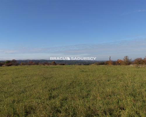 Działka komercyjna o powierzchni 8700 m² położona w miejscowości Rudno, gmina Krzeszowice. Teren w miejscowym planie zagos