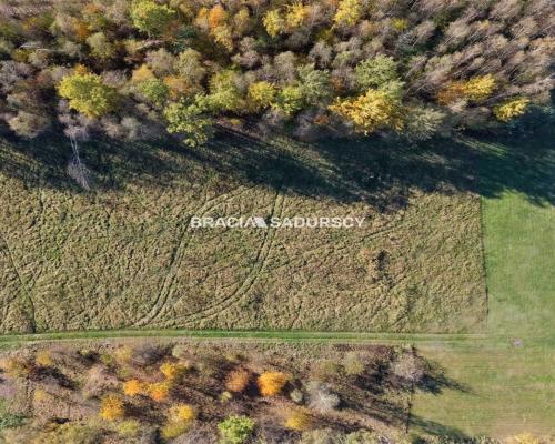 Działka budowlana o powierzchni  44 arów  położona w  Buczkowie, gmina Rzezawa, powiat bocheński  - idealna enklawa do b