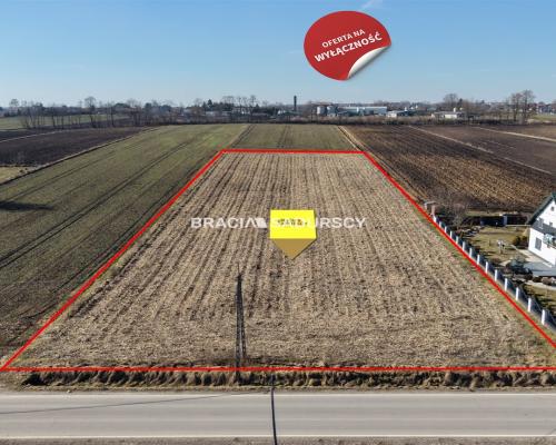 Działka Klimontów, Proszowice