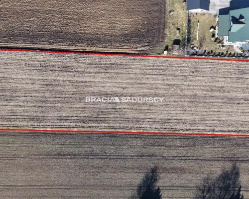 Działka Klimontów, Proszowice