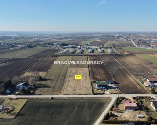 Działka Klimontów, Proszowice