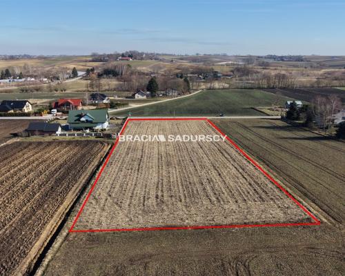 Działka Klimontów, Proszowice