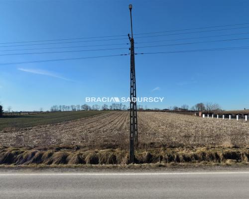 Działka Klimontów, Proszowice