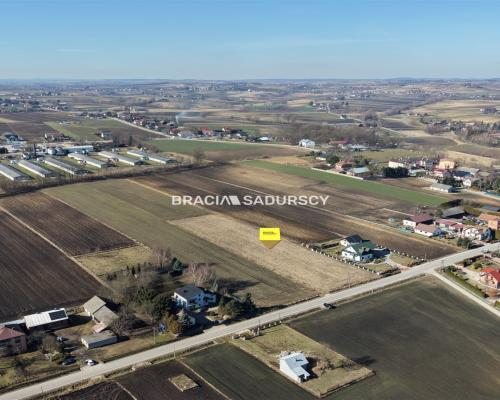 Działka Klimontów, Proszowice