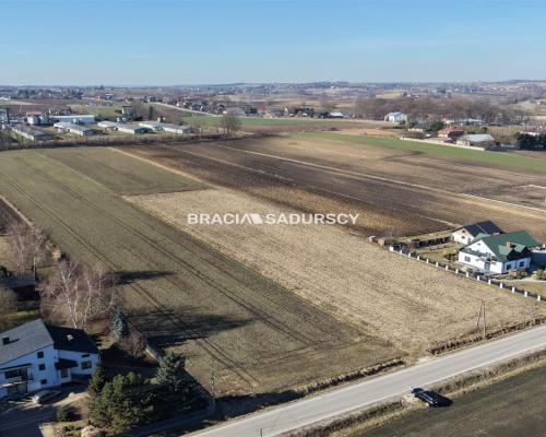 Działka Klimontów, Proszowice