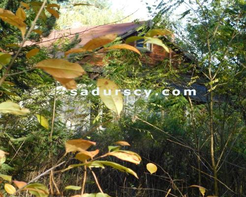 Ładna działka budowlano - inwestycyjna 4100m2 w Białym Ługu, gmina Prażmów, pow. piaseczyński.    
   
Cisza, zieleń, dobry dos