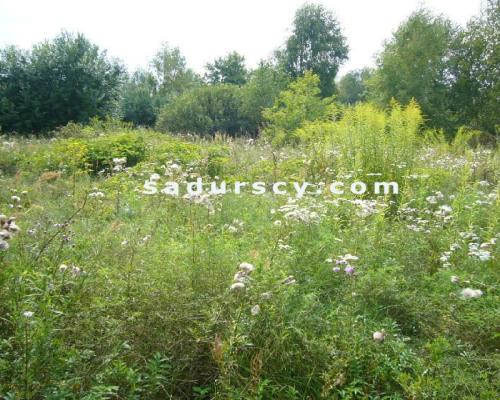 Działki budowlane pod inwestycję po 1000m 2  we Władysławowie, gmina Lesznowola, na obrzeżach Warszawy, ok. 3 km. od nowo budow