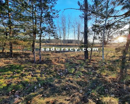 Bardzo ładna działka budowlana 2500m2 w Baniosze, gm. Góra Kalwaria, na terenach zielonych, w otulinie Chojnowskiego Parku Kraj