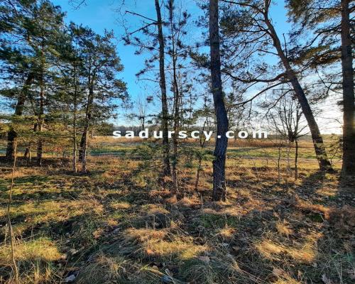 Bardzo ładna działka budowlana 2500m2 w Baniosze, gm. Góra Kalwaria, na terenach zielonych, w otulinie Chojnowskiego Parku Kraj