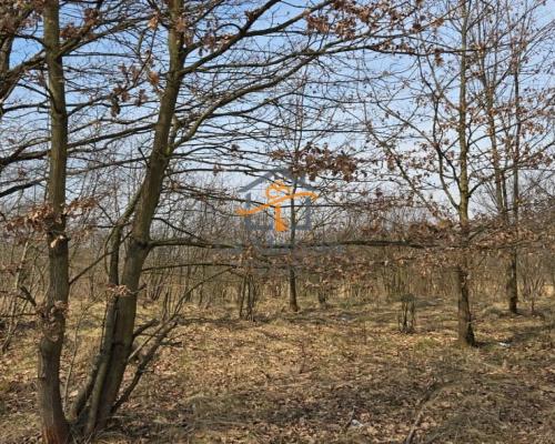 Działka z MPZP | Marcyporęba | MN + RM