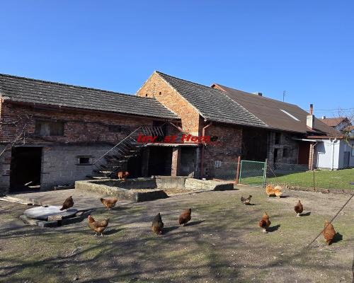 Dom do generalnego remontu w niskiej cenie.