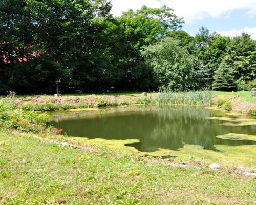 Obiekt z potencjałem - 363m2