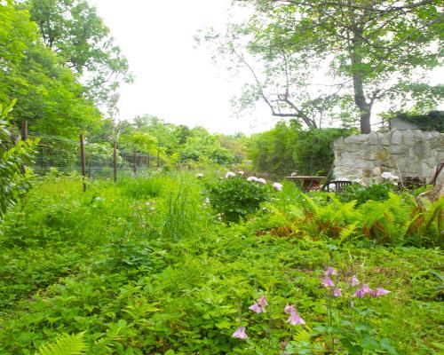 Przy Parku, 3 pokoje na parterze z ogródkiem