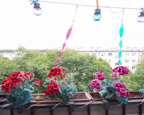 2pokojowe mieszkanie na Osiedlu Młodych z balkonem