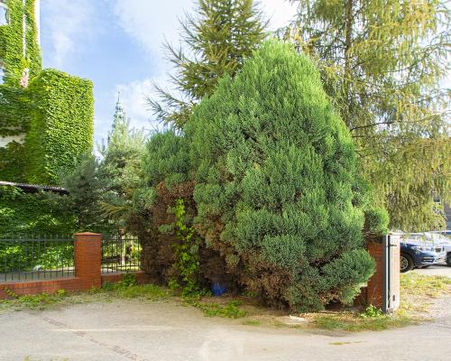 Kamienica w Centrum na sprzedaż