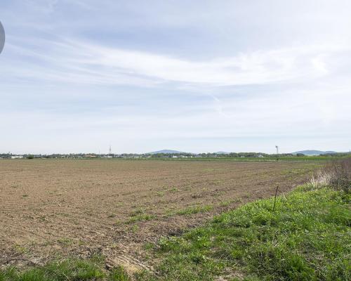 Teren przemysłowo - usługowy 2,6 Ha