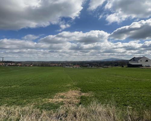 Wierzbna / Działki z widokiem na Ślęże