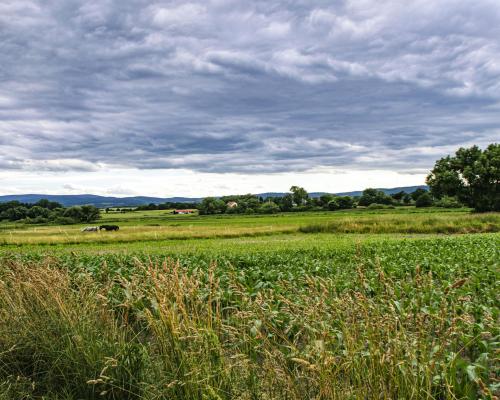 DZIAŁKA BUDOWLANA W GRODZISZCZU/ WIDOK NA GÓRY