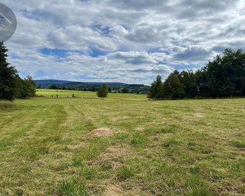 Działka 4090 m² z warunkami zabudowy – Boreczna