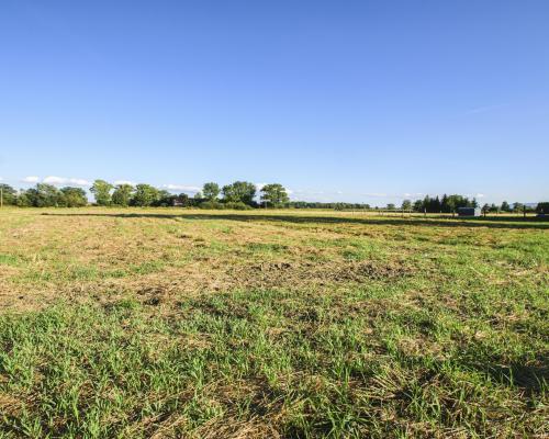 Działka rolno-budowlana / 4631m2 / Mościsko