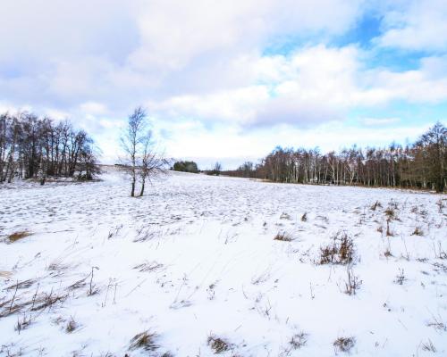 Malowniczo położone działki rekreacyjne/Michałkowa