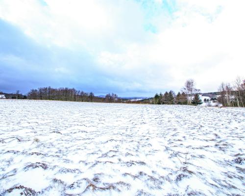 Malowniczo położone działki rekreacyjne/Michałkowa